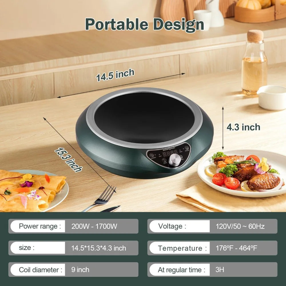 Single Induction Burner