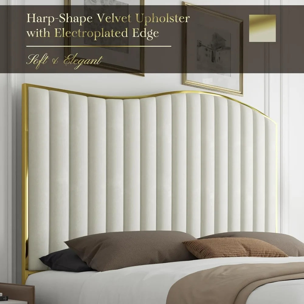 Velvet Gold Plated Metal Trim Upholstered Bed