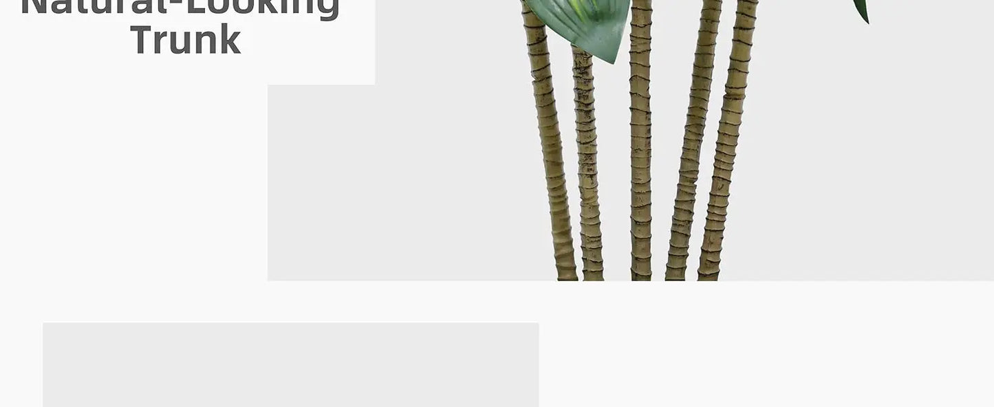 Dracaena Tree with Pot