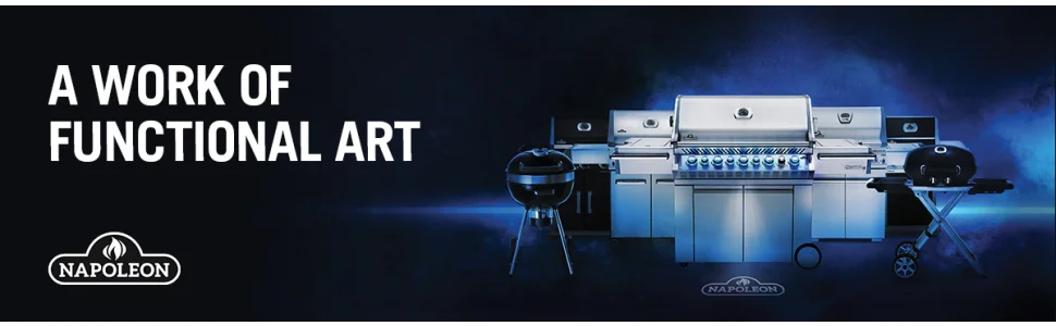 Propane Gas Grill with Side Burner