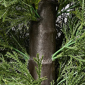 Yemmen Cedar Topiary Tree Set