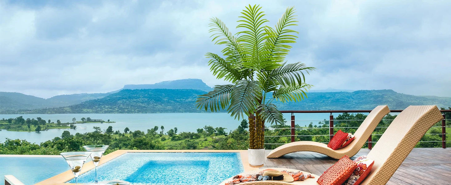 Phoenix Palm Tree Set with Moss Base