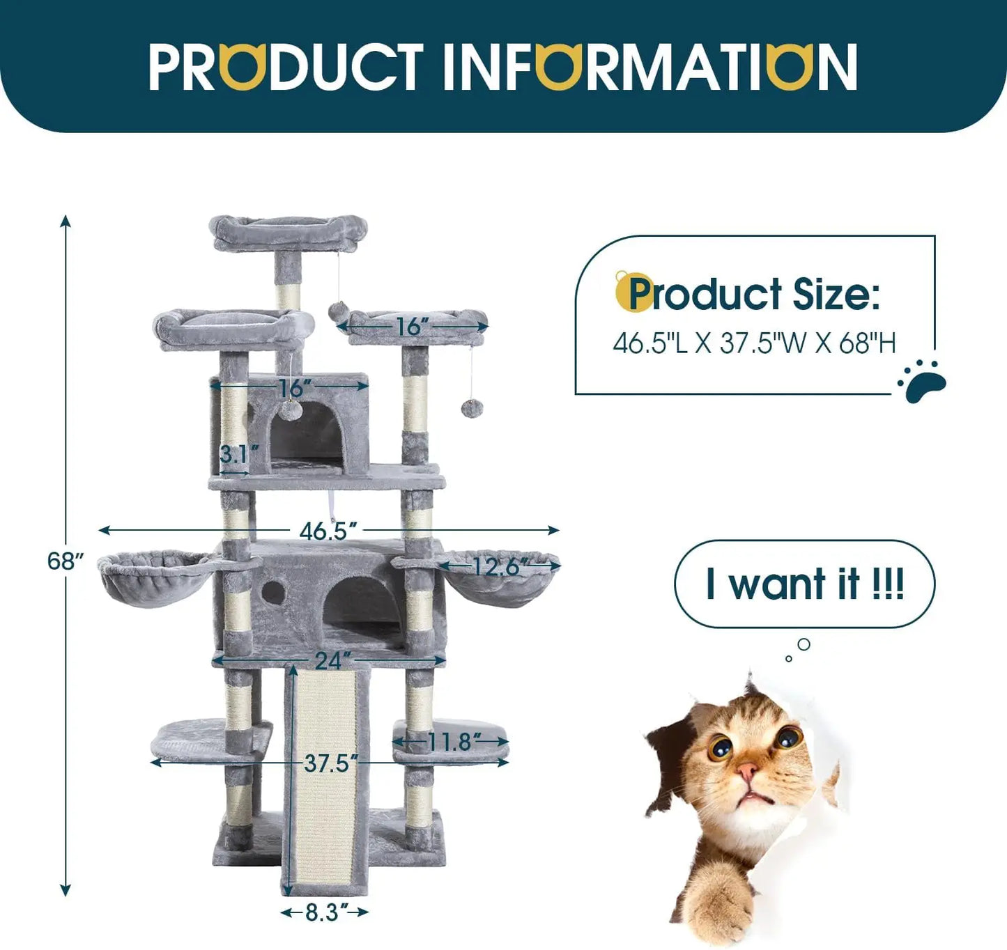 Multi-Level Large Cat Tree