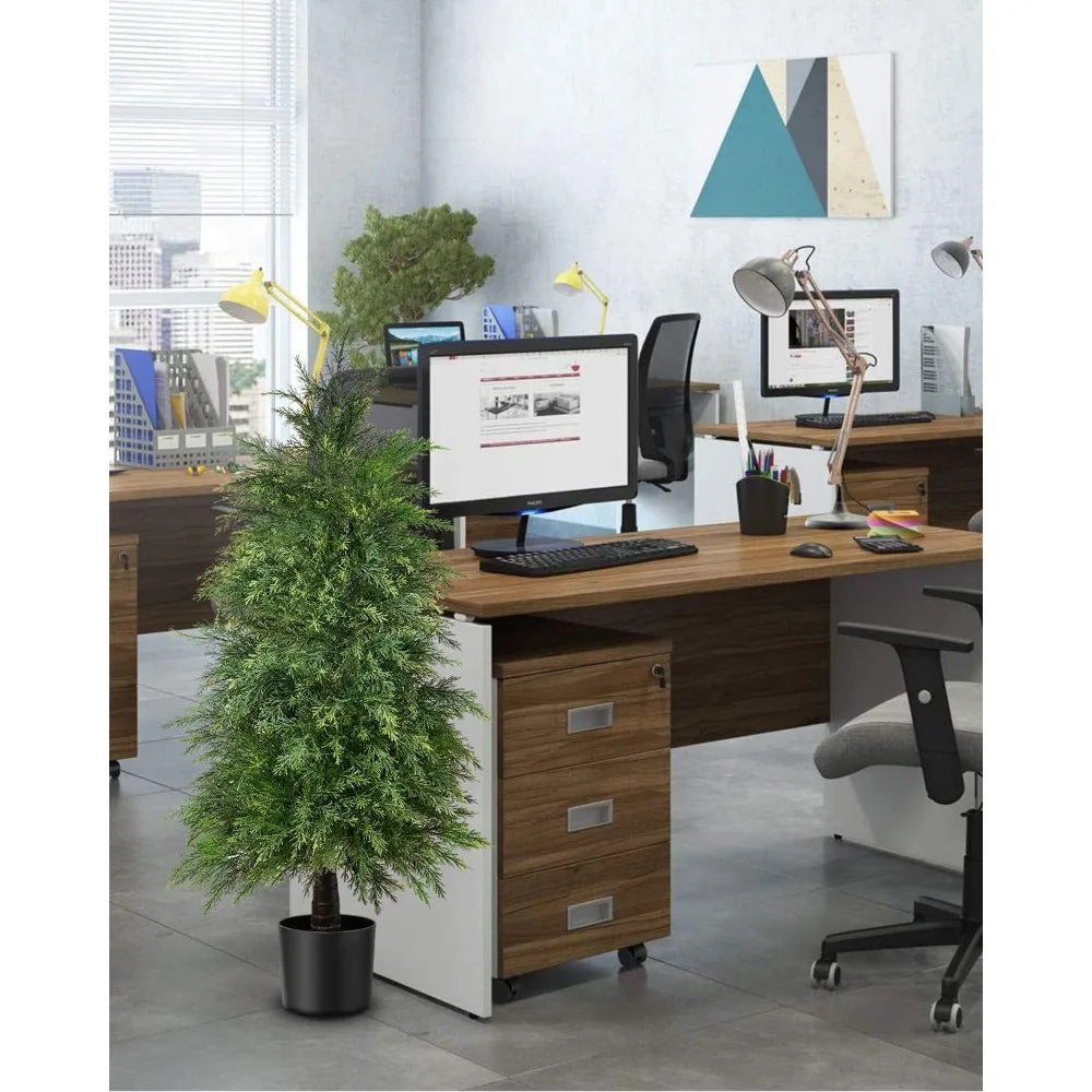 Yemmen Cedar Topiary Tree Set