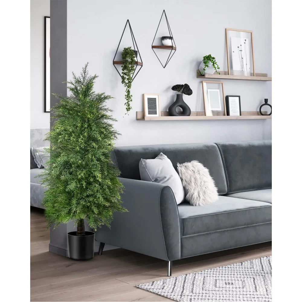 Yemmen Cedar Topiary Tree Set