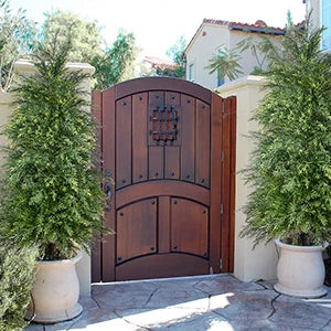 Yemmen Cedar Topiary Tree Set