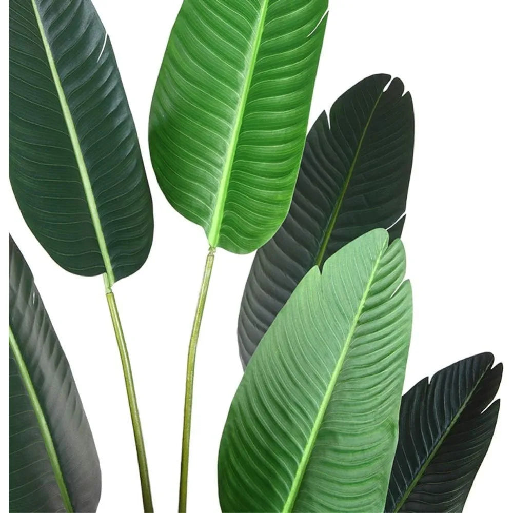 Bird of Paradise Set