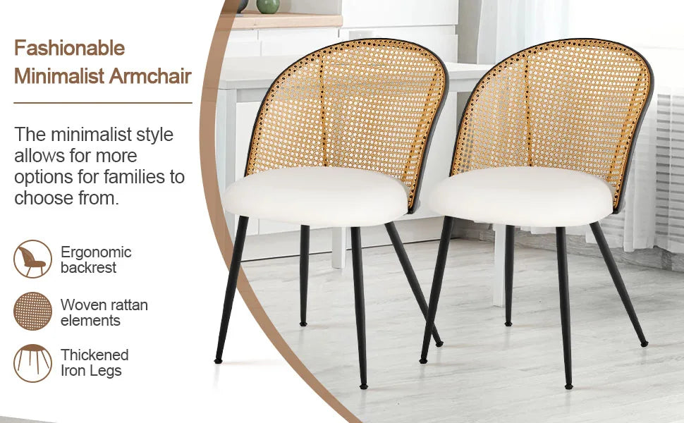 Modern Mid-Century Style Dining Chairs Set