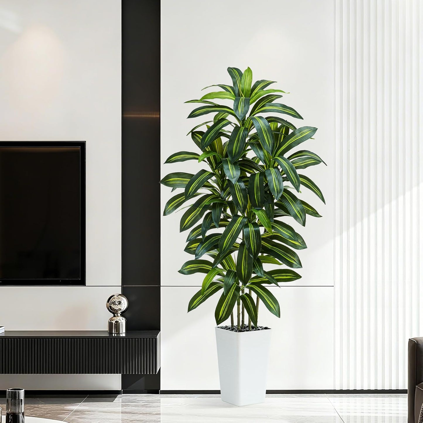 Regal Radiance Dracaena Tree
