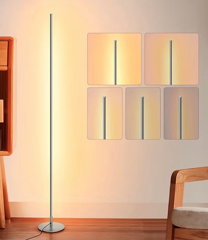 Modern Minimalist LED Floor Lamp