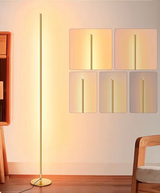 Modern Minimalist LED Floor Lamp