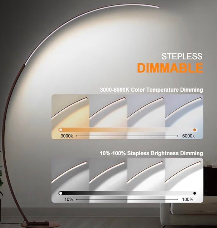 Modern LED Arc Floor Lamp