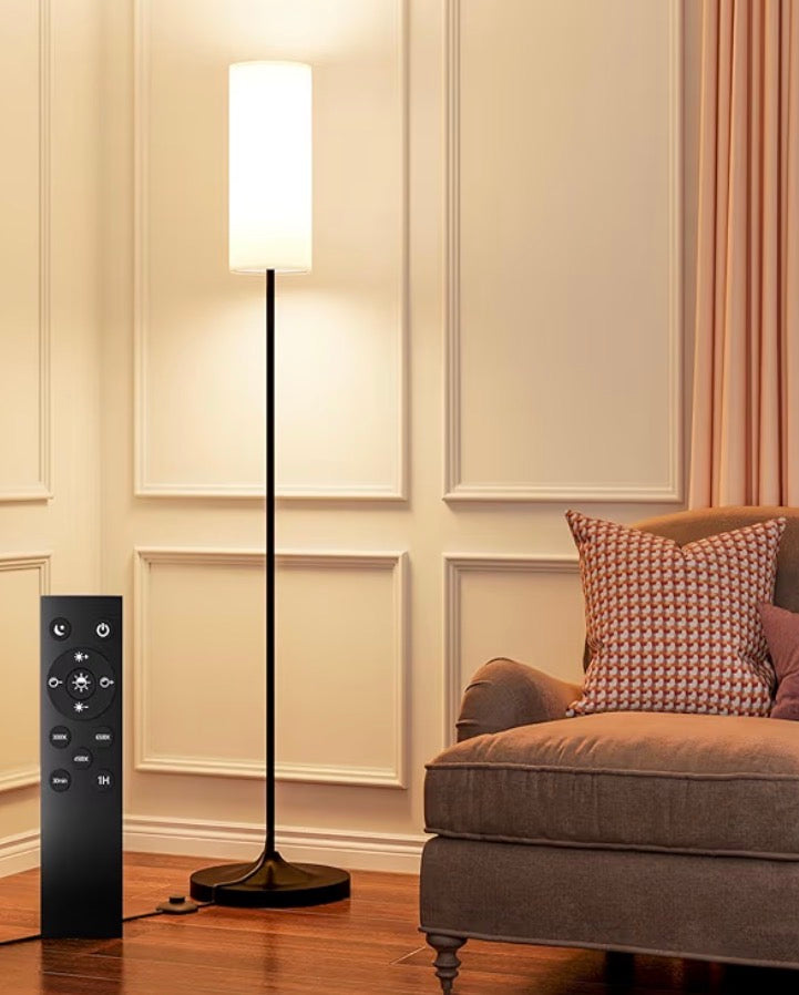 Modern LED Floor Lamp