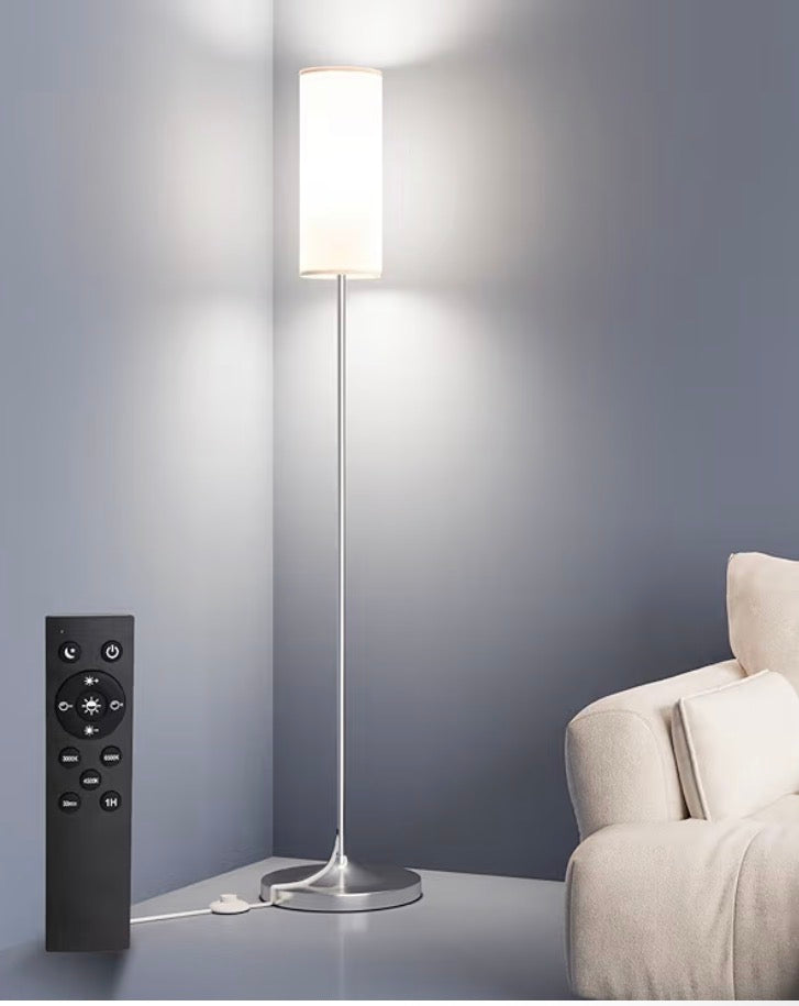Modern LED Floor Lamp