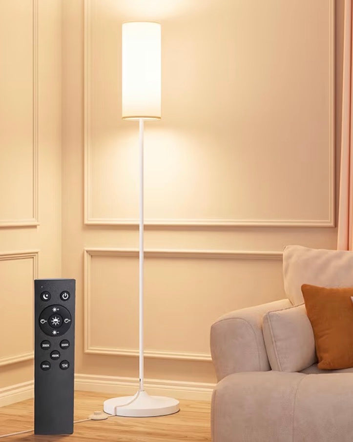 Modern LED Floor Lamp