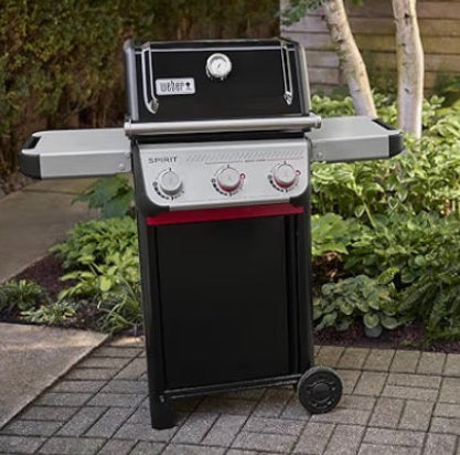 Weber® Spirit Series Gas Grill