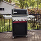 Weber® Spirit Series Gas Grill