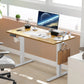 Electric Standing Desk