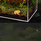 Reptile Cage