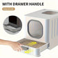 Cat Litter Box