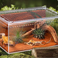 Reptile Cage