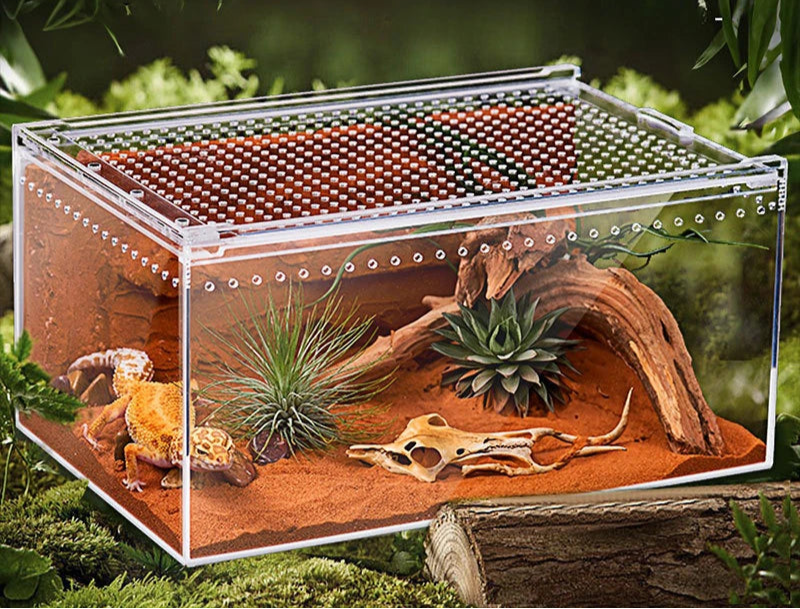 Reptile Cage