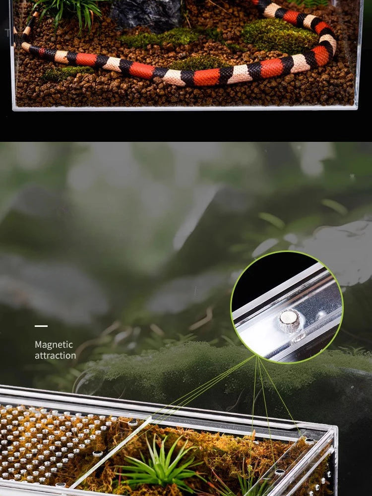 Reptile Cage
