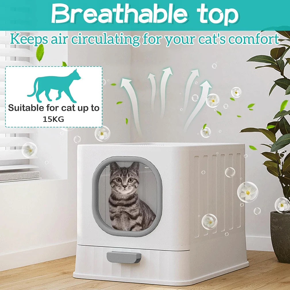 Cat Litter Box