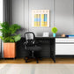 Ergonomic Desk Chair