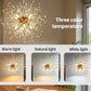 Dandelion Chandelier
