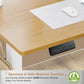 Electric Standing Desk