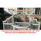 Large Elegant Stylish and Durable Wrought Iron Bird Cage