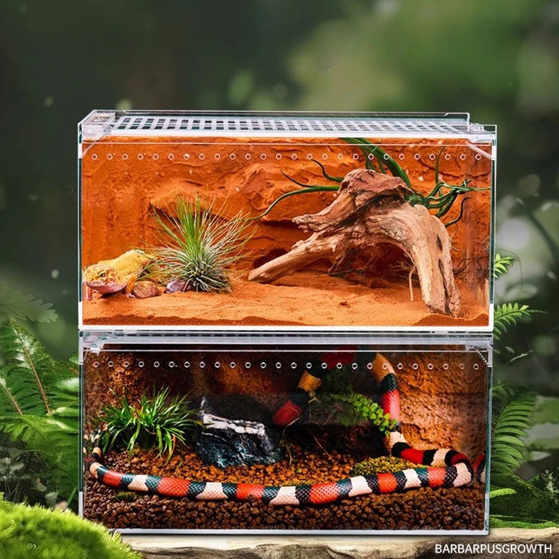 Reptile Cage