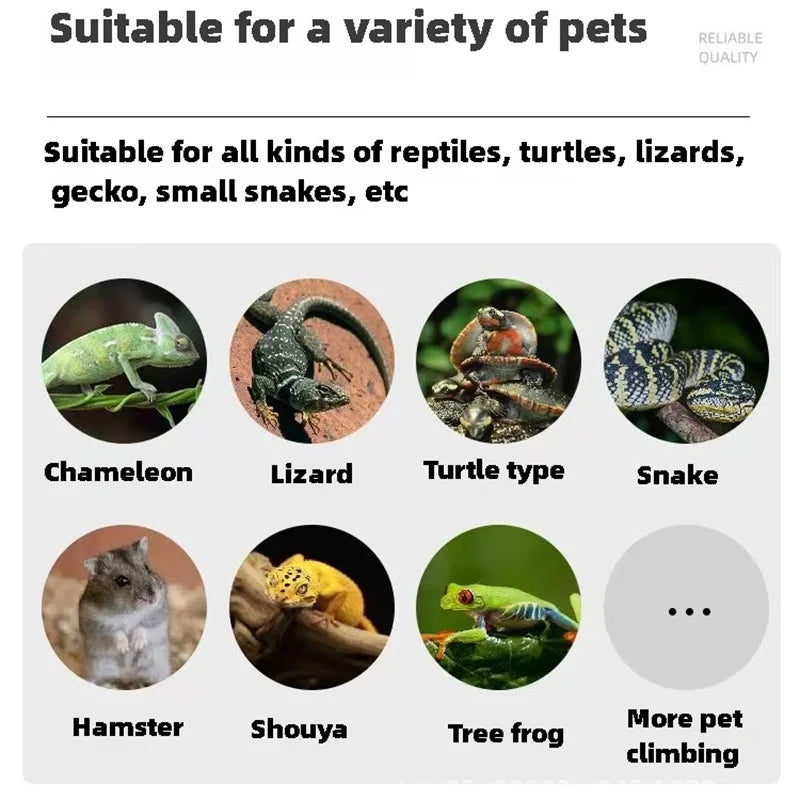 Reptile Cage/Tank