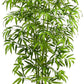 Bliss Bamboo Tree