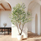 Timeless Faux Olive Tree