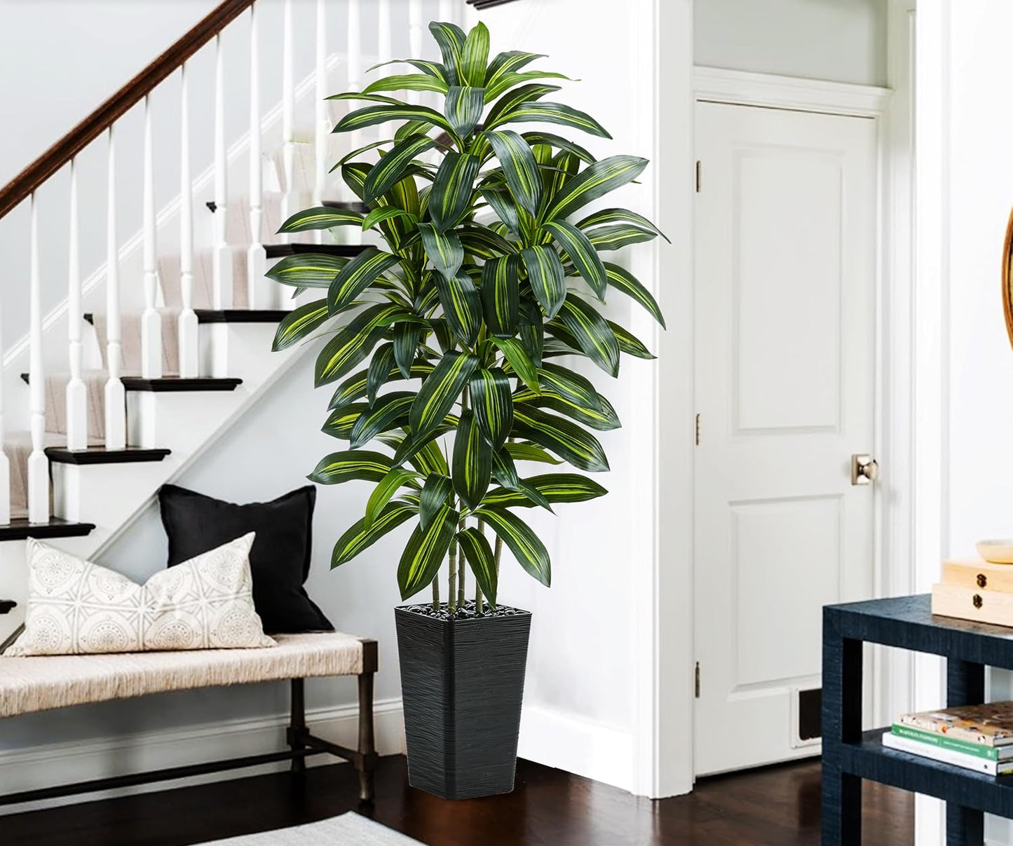 Regal Radiance Dracaena Tree