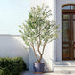 Timeless Faux Olive Tree