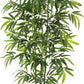 Bliss Bamboo Tree