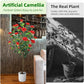 Noir Camellia Tree