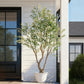 Timeless Faux Olive Tree
