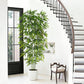 Bliss Bamboo Tree