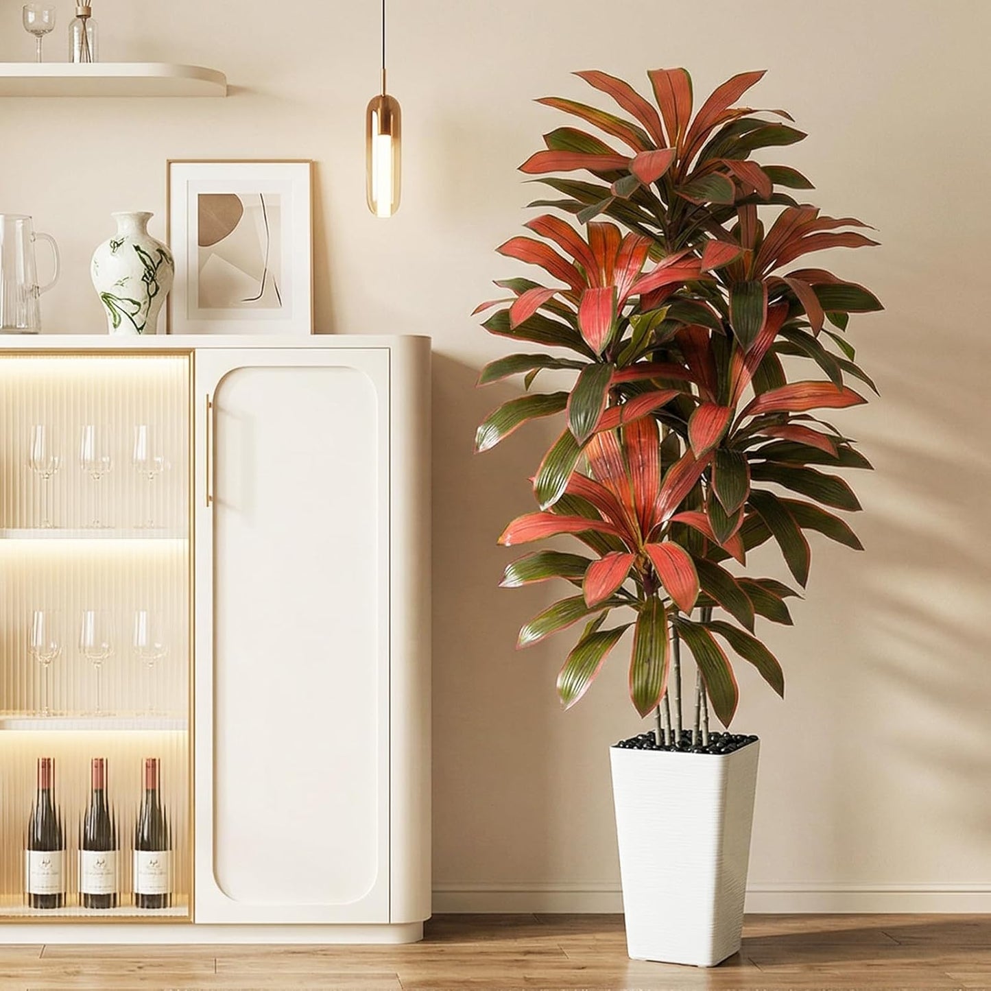 Regal Radiance Dracaena Tree