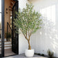 Timeless Faux Olive Tree