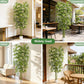 Bliss Bamboo Tree