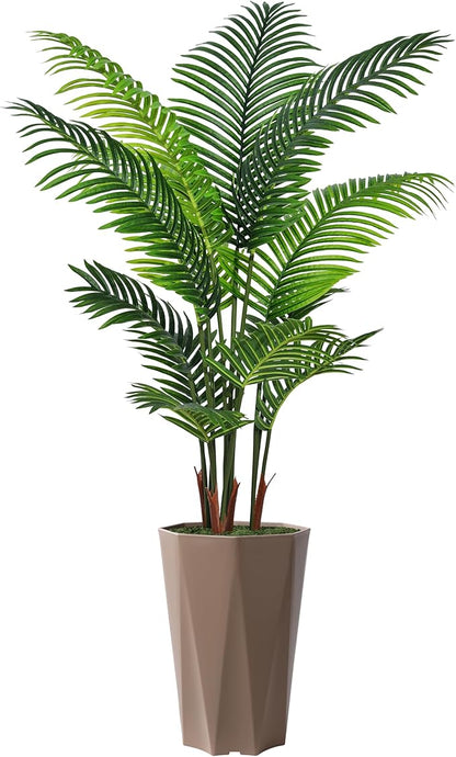 Verdant Oasis Palm Tree