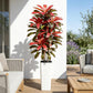 Regal Radiance Dracaena Tree