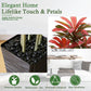 Regal Radiance Dracaena Tree