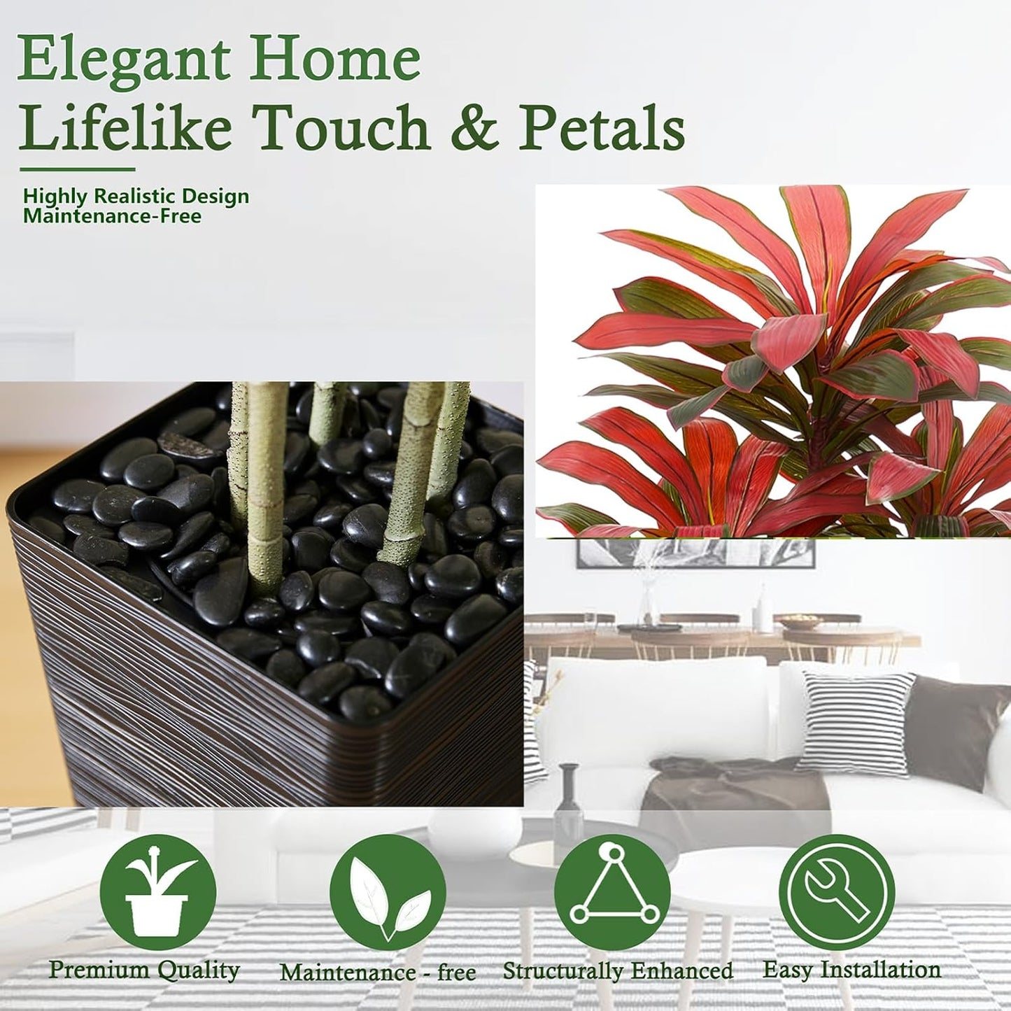 Regal Radiance Dracaena Tree