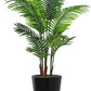 Verdant Oasis Palm Tree